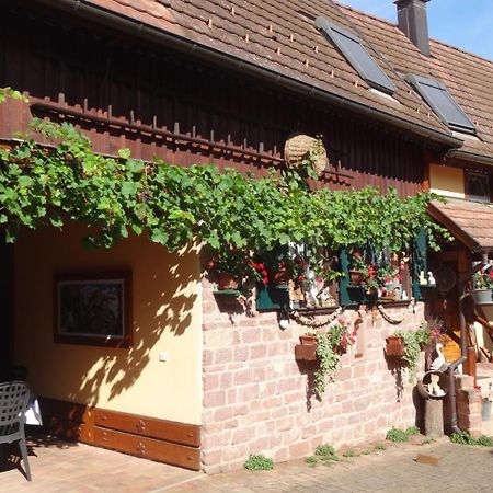 Gite Le Petit Moulin Rosenwiller エクステリア 写真