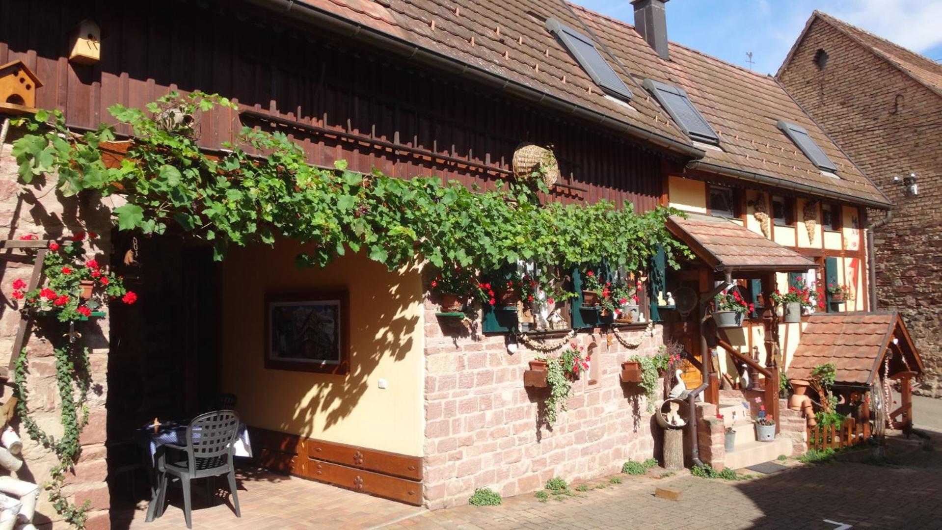 Gite Le Petit Moulin Rosenwiller エクステリア 写真