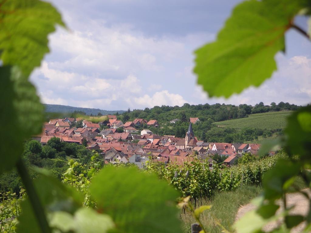 Gite Le Petit Moulin Rosenwiller エクステリア 写真