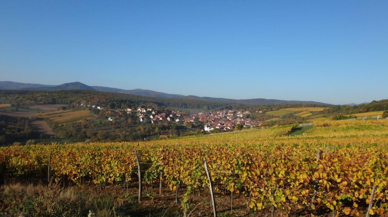 Gite Le Petit Moulin Rosenwiller エクステリア 写真