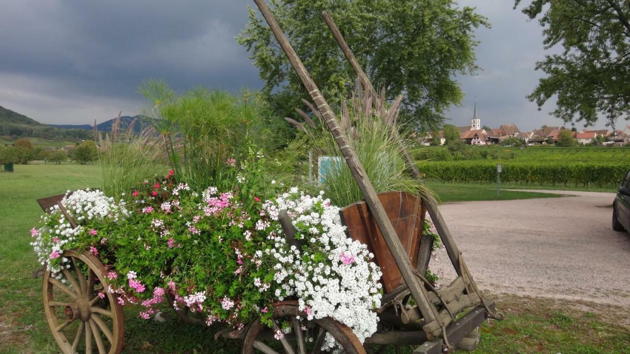 Gite Le Petit Moulin Rosenwiller エクステリア 写真