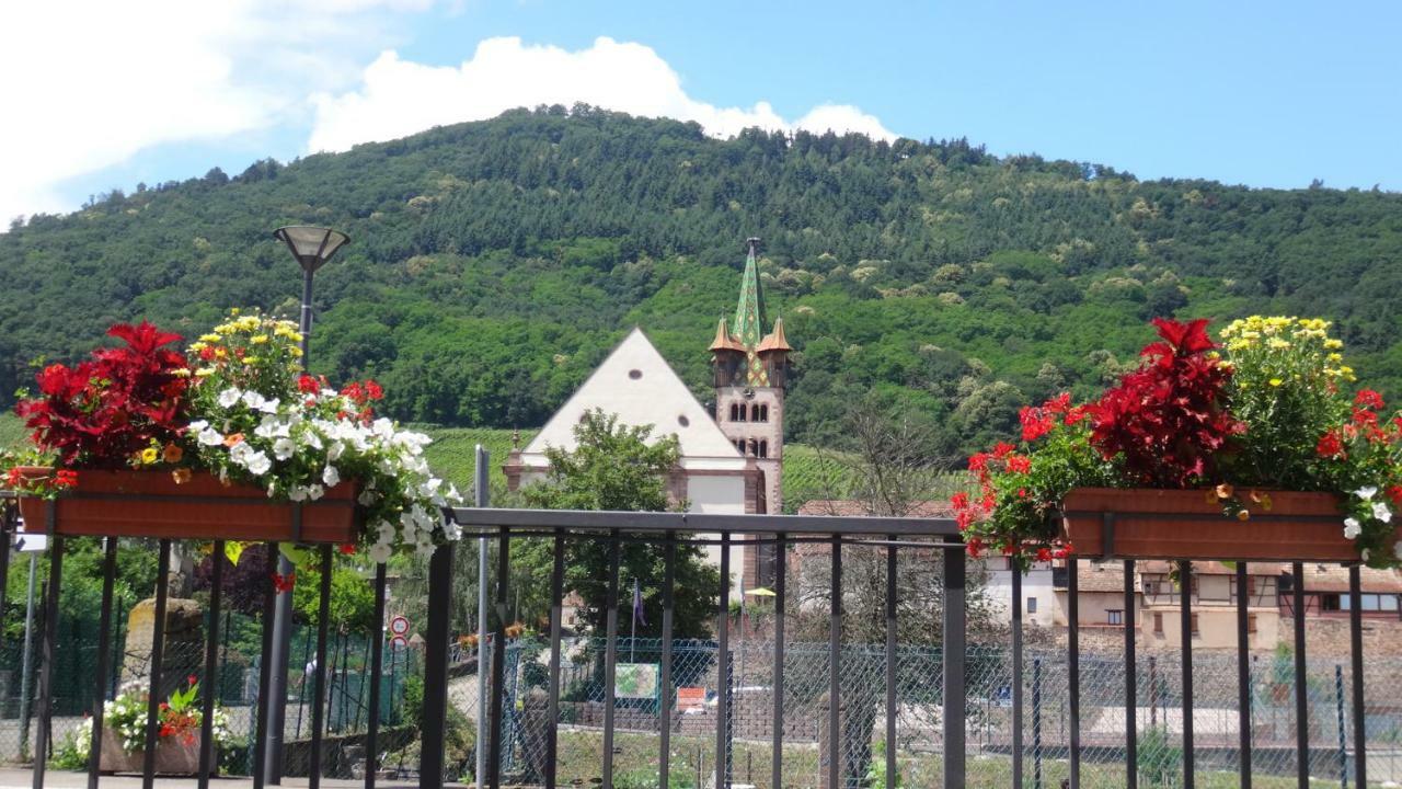 Gite Le Petit Moulin Rosenwiller エクステリア 写真