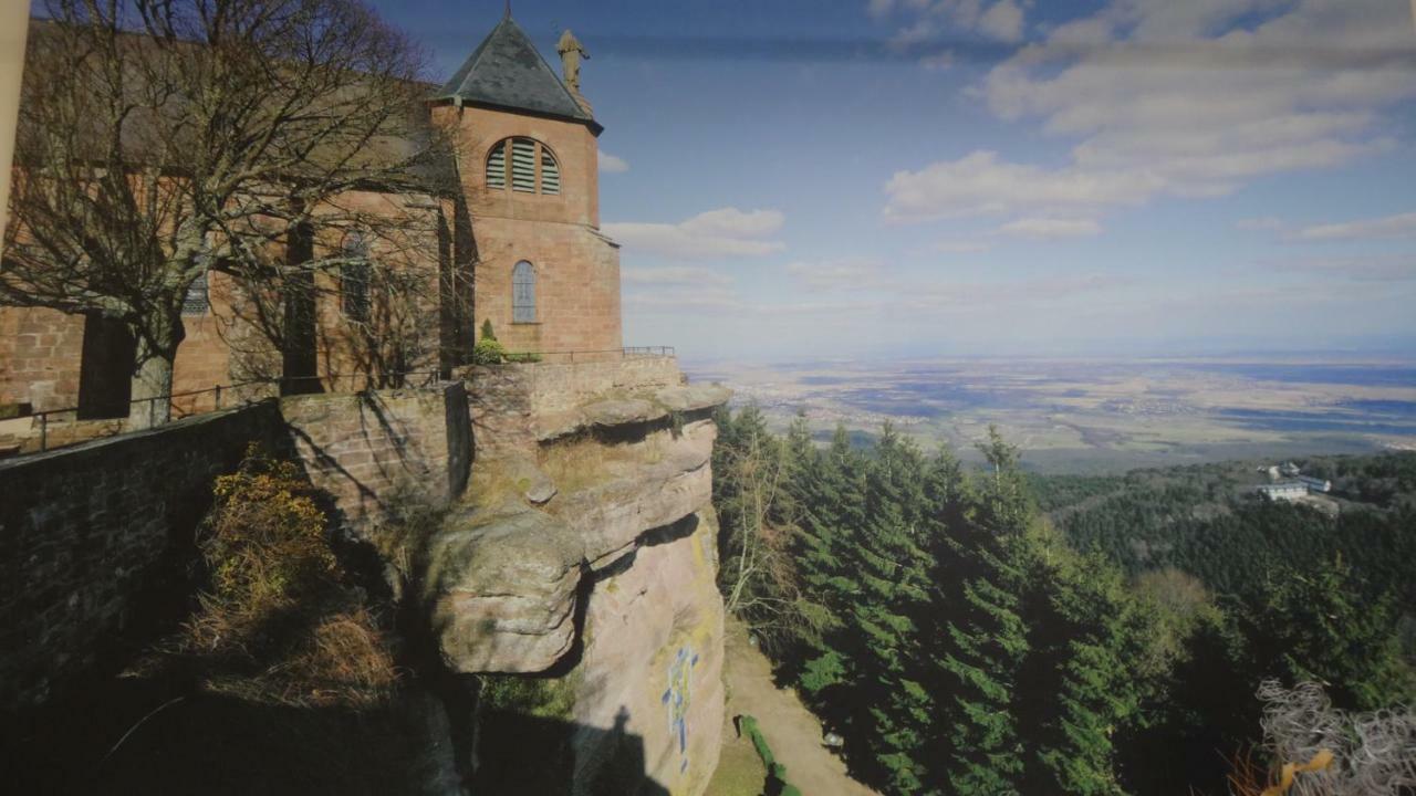 Gite Le Petit Moulin Rosenwiller エクステリア 写真