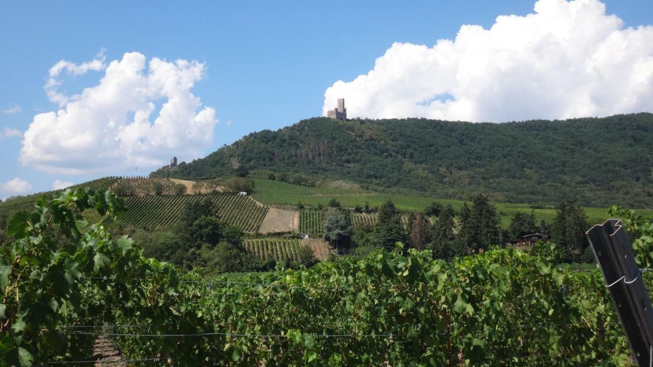 Gite Le Petit Moulin Rosenwiller エクステリア 写真