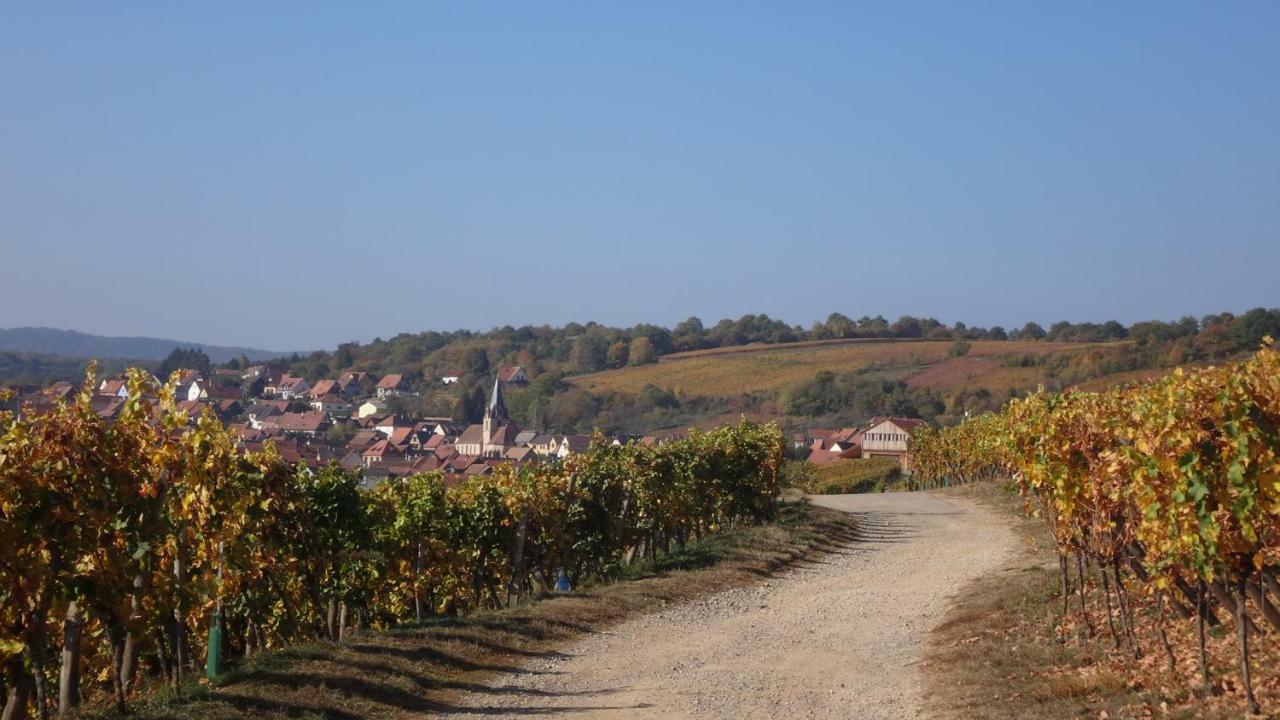 Gite Le Petit Moulin Rosenwiller エクステリア 写真