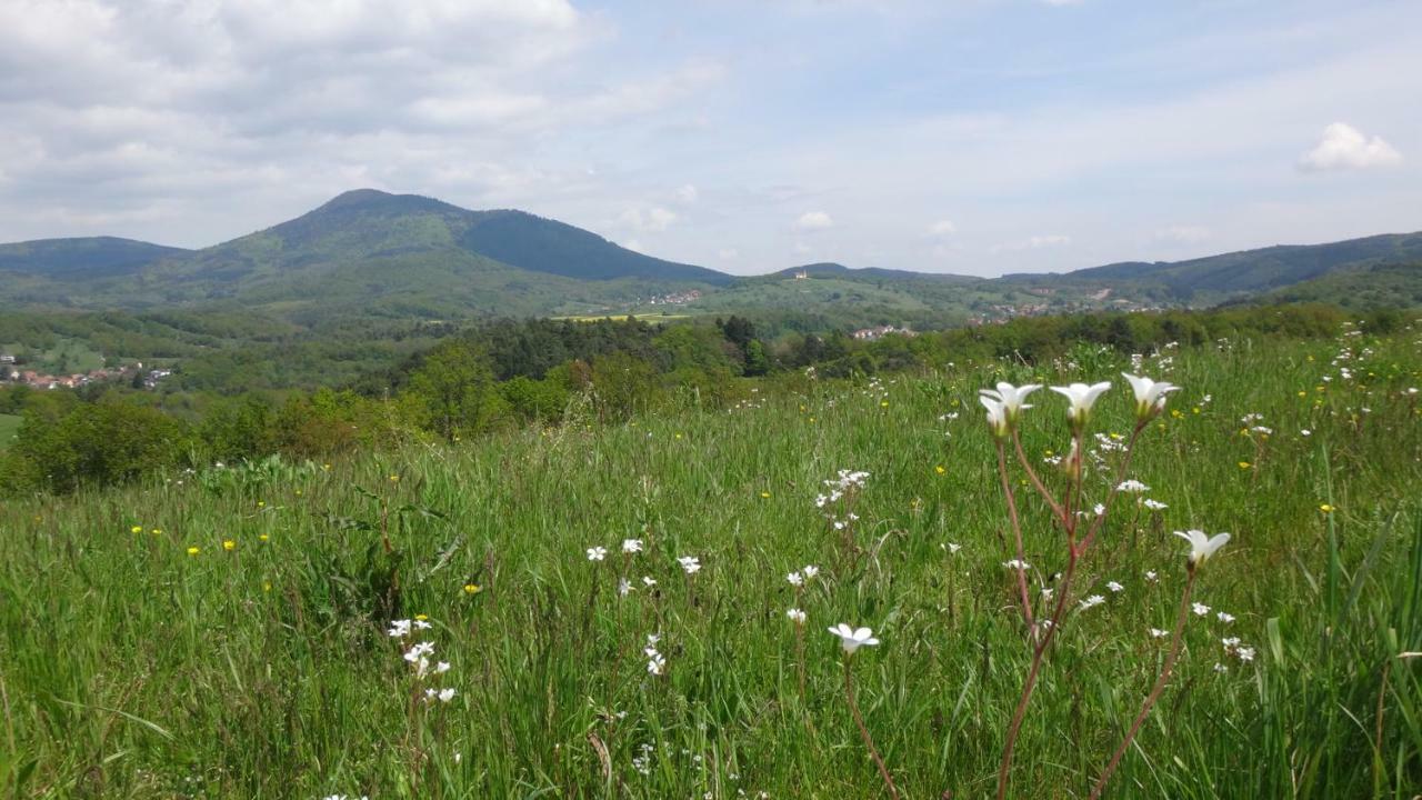 Gite Le Petit Moulin Rosenwiller エクステリア 写真